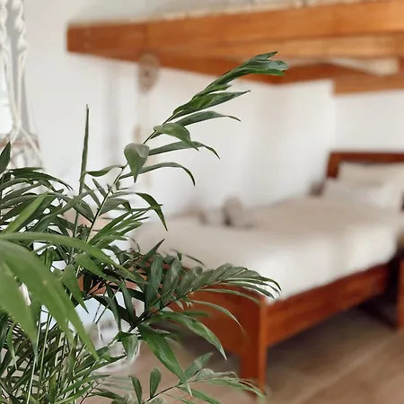 Resort Surf & Yoga Retreats Fuerteventura Roque